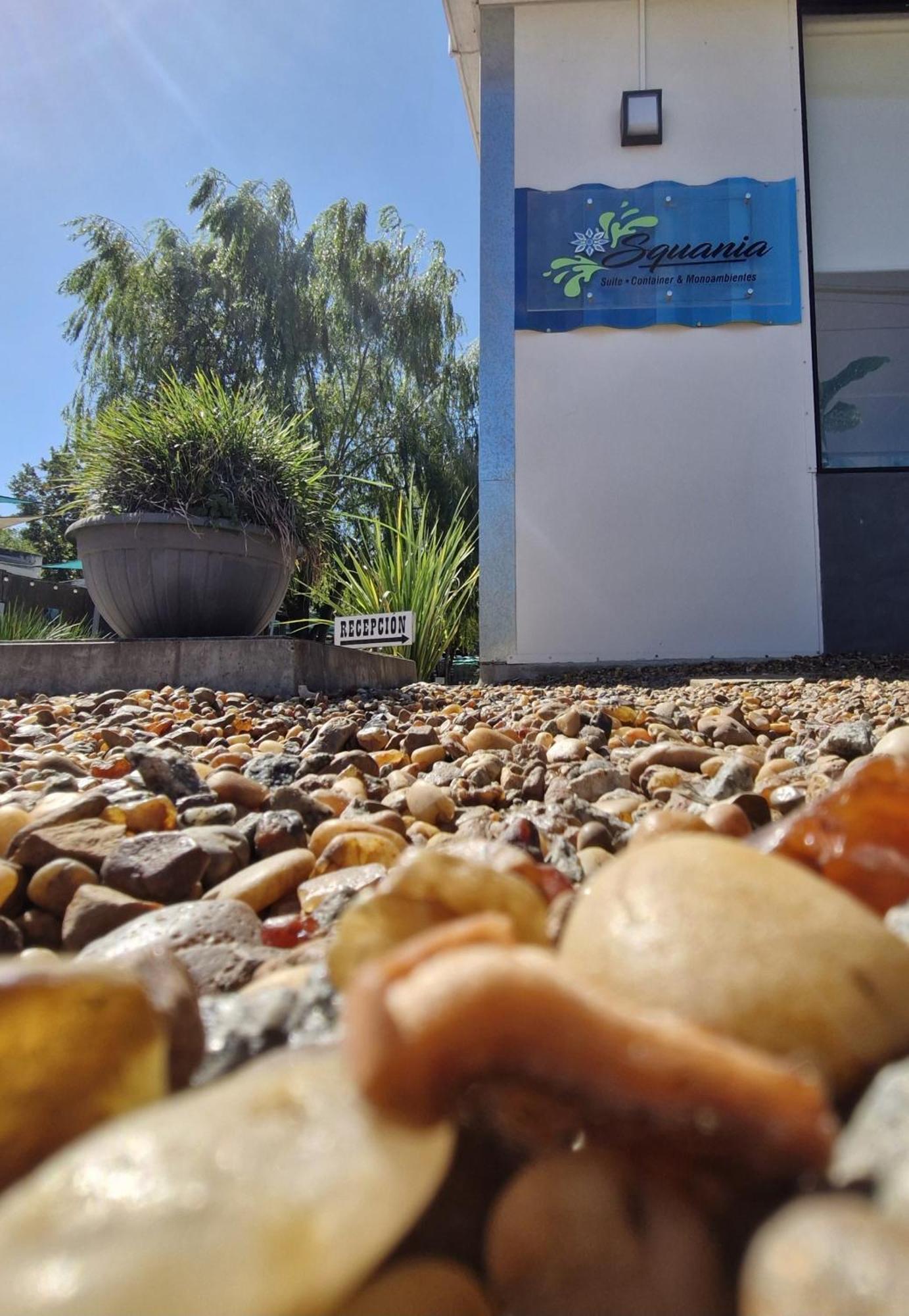 Squania Suite Container & Monoambientes Termas del Dayman Bagian luar foto