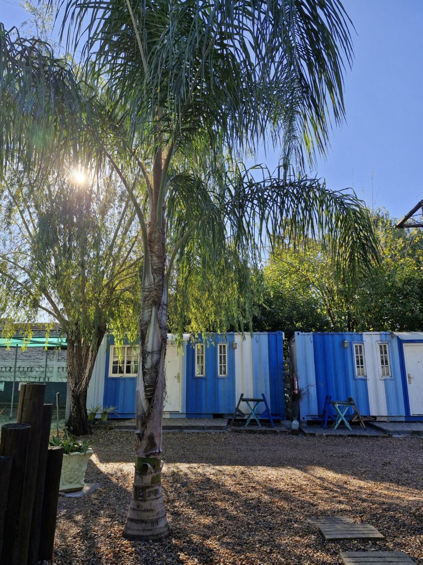 Squania Suite Container & Monoambientes Termas del Dayman Bagian luar foto